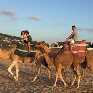 Meet your Posher, Masooda